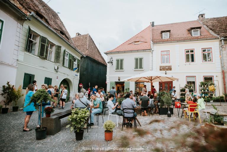 Sibiu Flori pe scări ©Gabriela Cuzepan