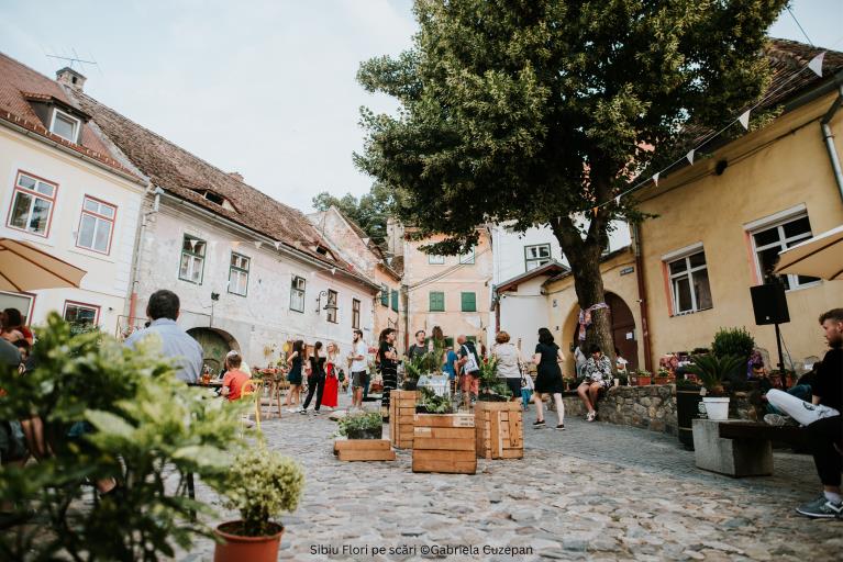 Sibiu Flori pe scări ©Gabriela Cuzepan